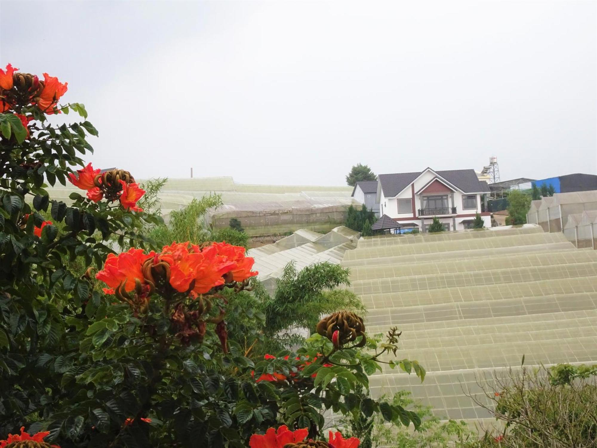 MENTO Villa Đà Lạt Da Lat Exterior foto