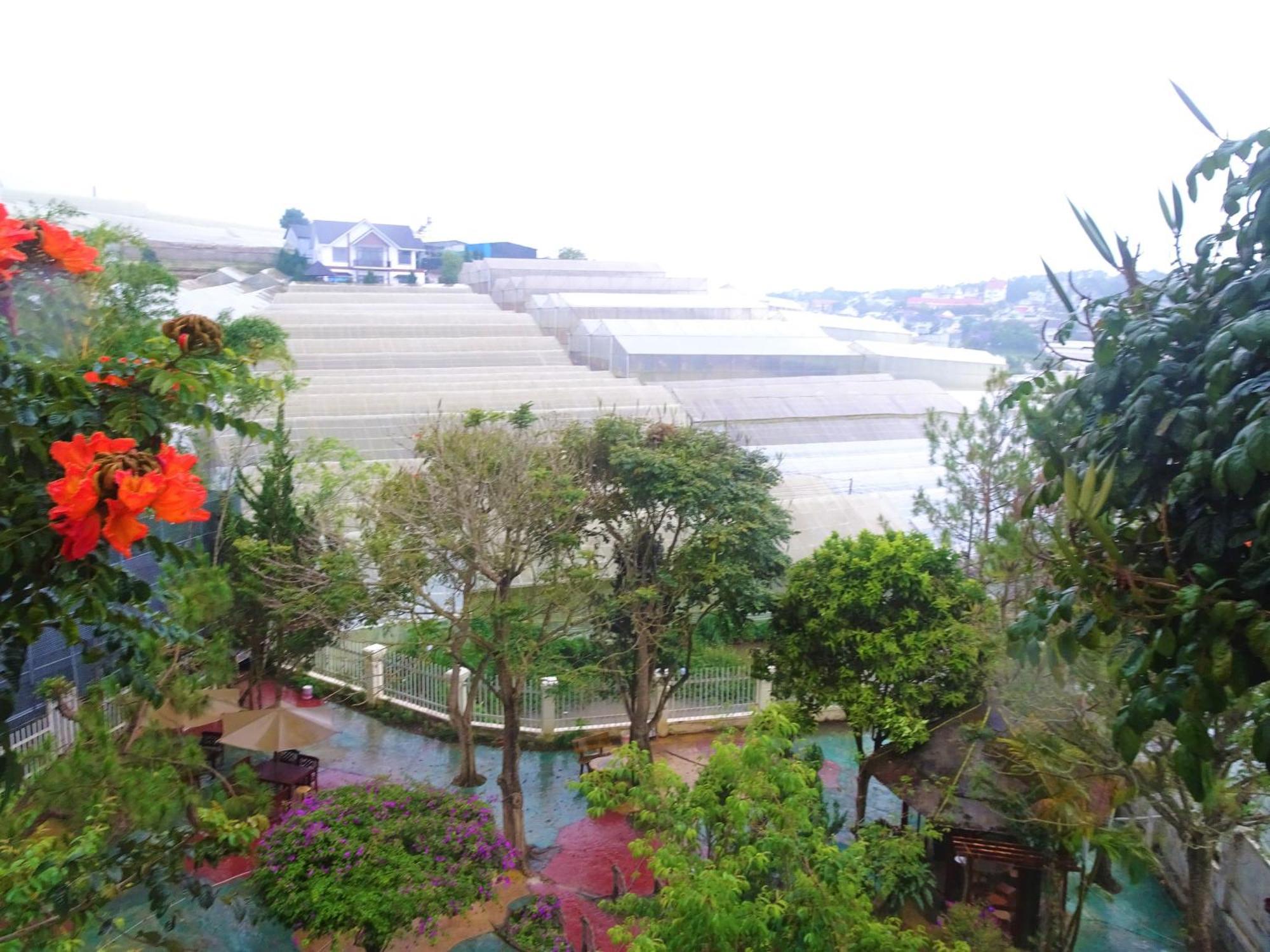 MENTO Villa Đà Lạt Da Lat Exterior foto