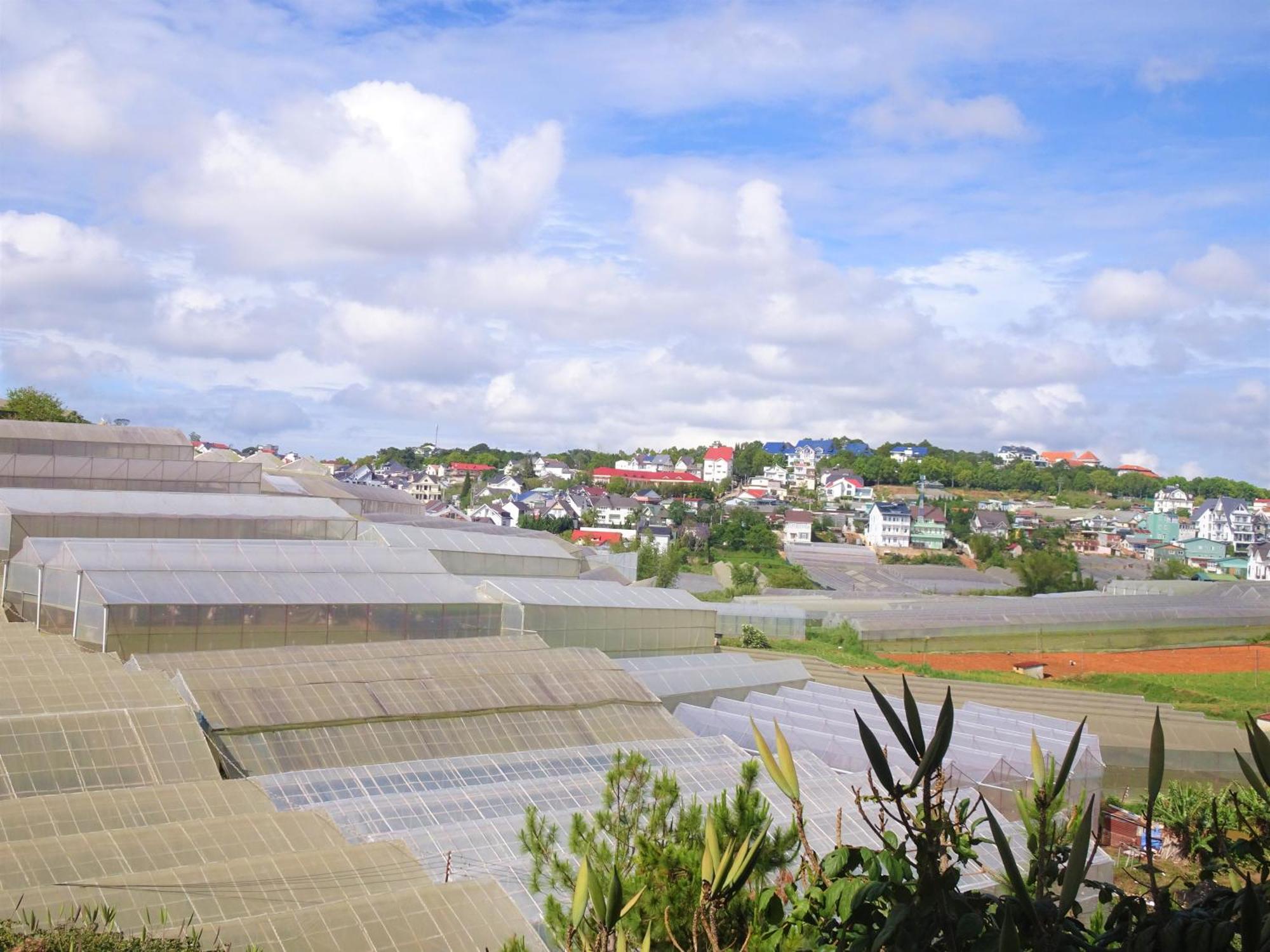 MENTO Villa Đà Lạt Da Lat Exterior foto