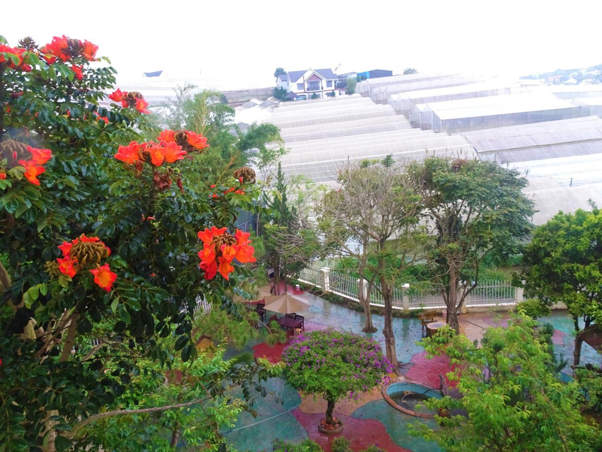 MENTO Villa Đà Lạt Da Lat Exterior foto